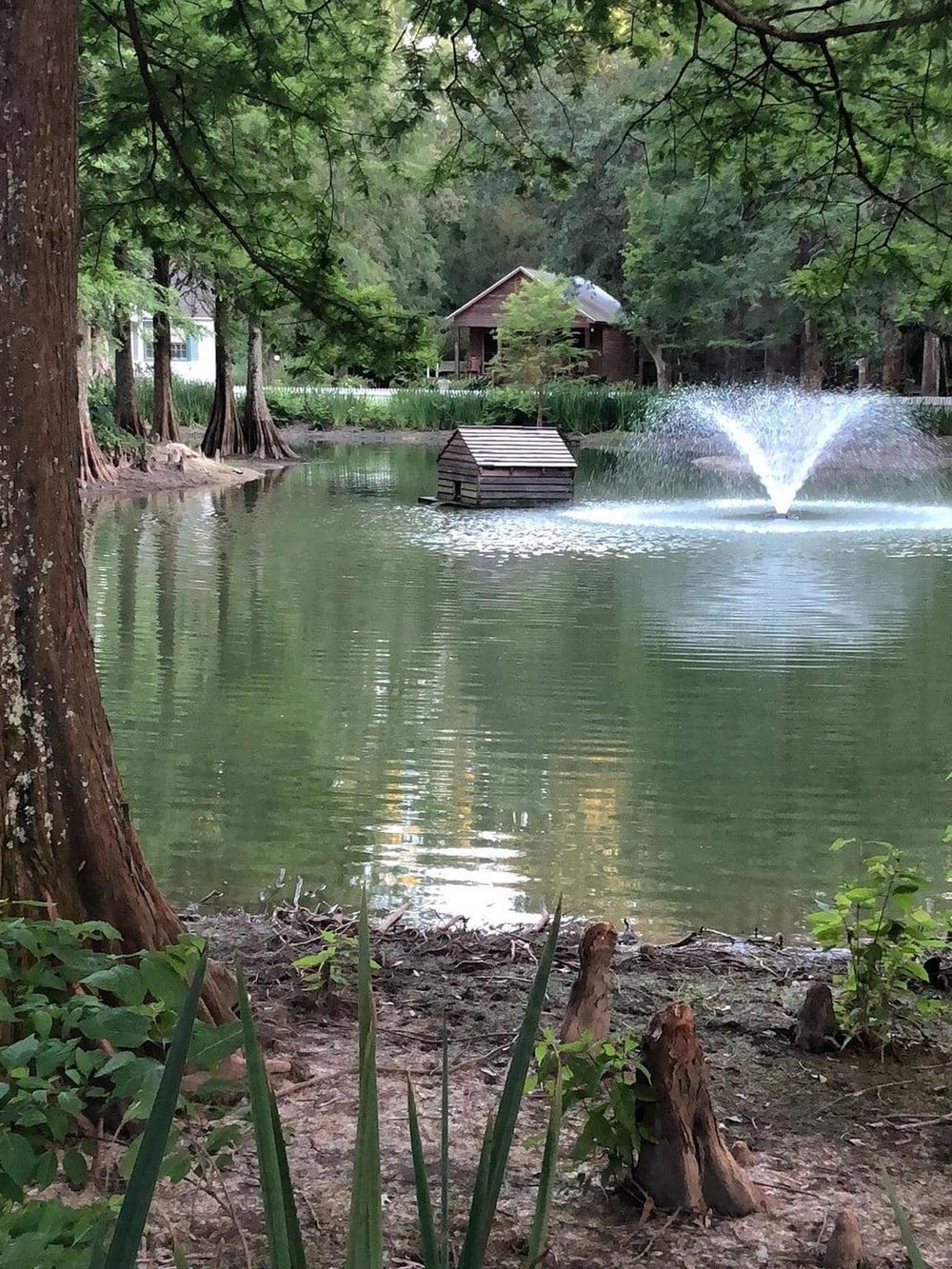 Tranquil pond with fountain, surrounded by trees, offering picturesque views for outdoor relaxation and nature exploration.