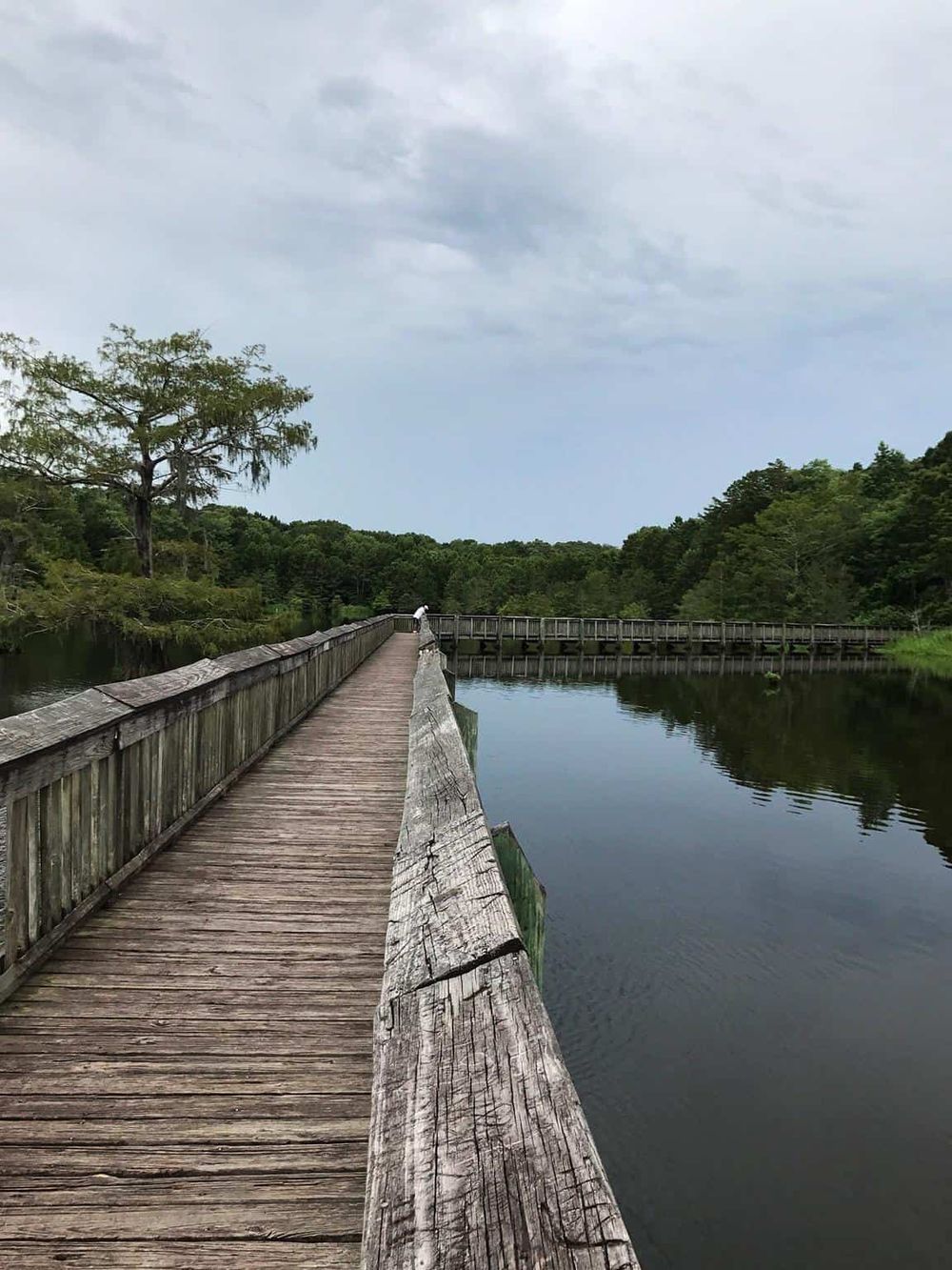 Serene wooden bridge over calm water at QuestForDirections nature park.