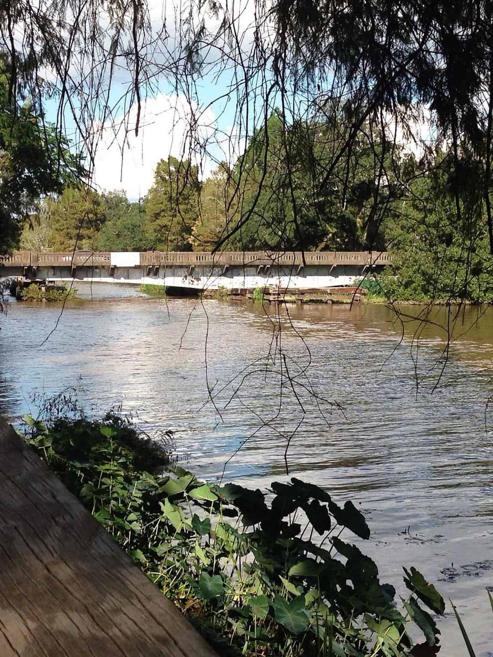 Bridge over a river with surrounding trees, capturing scenic nature views.