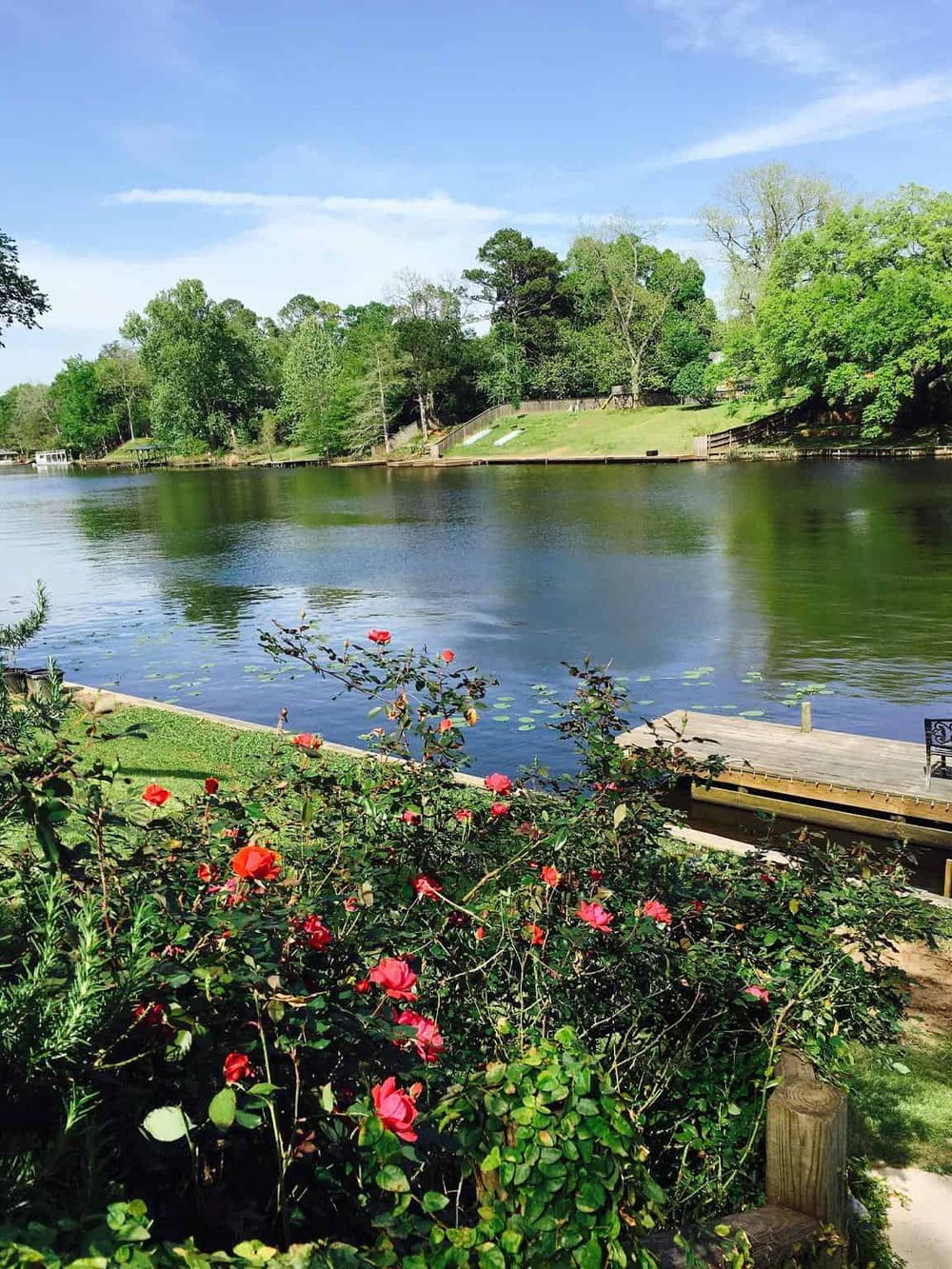 Scenic river view with lush green trees, flowering shrubs, and a peaceful waterfront setting.