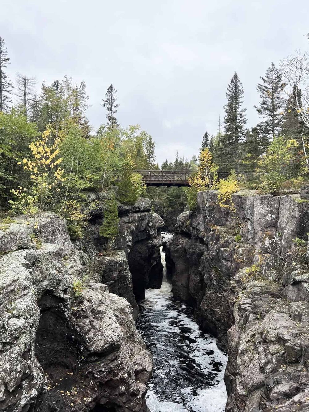 Vivid image of a rocky canyon with rushing water, surrounded by dense evergreen trees and a wooden bridge overhead.