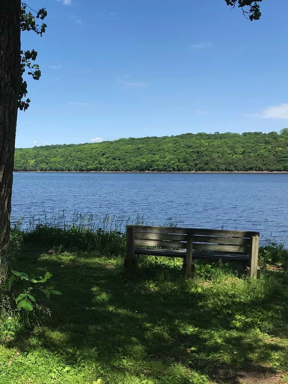 Serene lake view with wooden bench, lush green trees, and blue sky, perfect for nature relaxation.