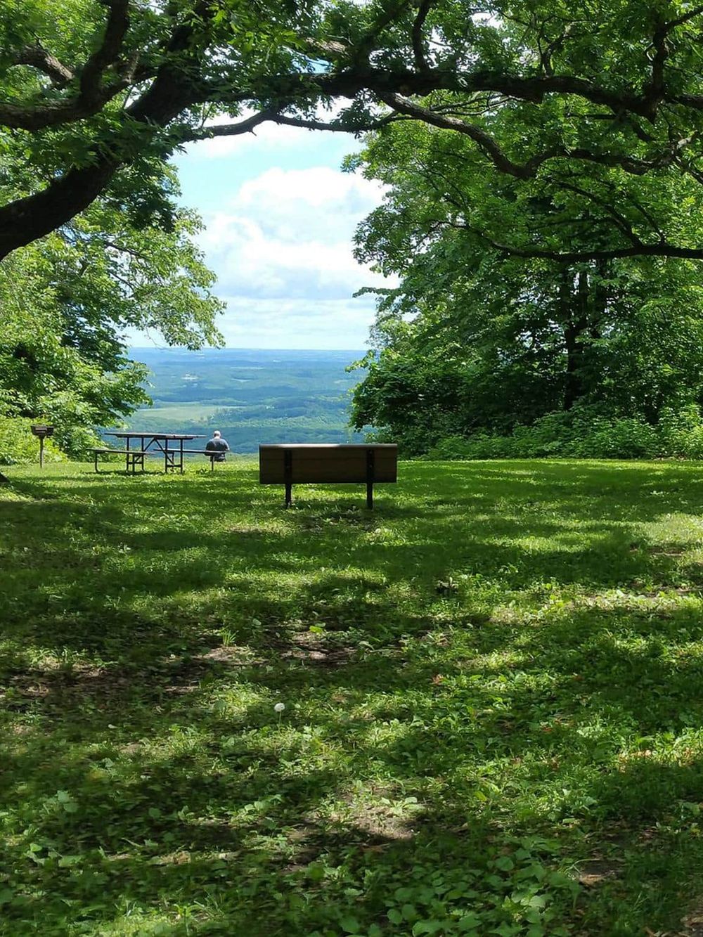 Serene park overlook with benches and a person enjoying scenic views under lush green trees.
