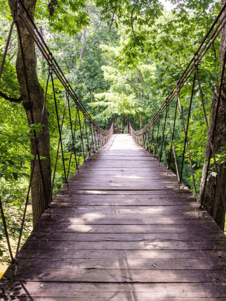 Suspension bridge in lush green forest, scenic nature trail, adventure hiking path.