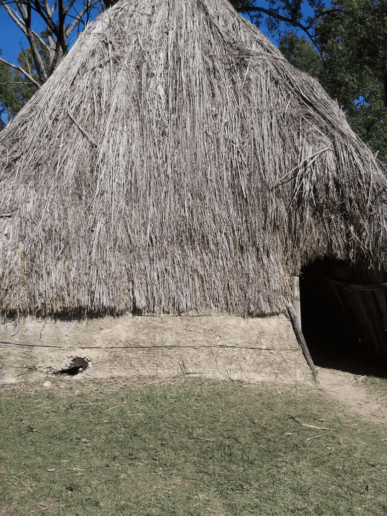 Traditional African hut with thatched roof and mud walls for authentic cultural experience.