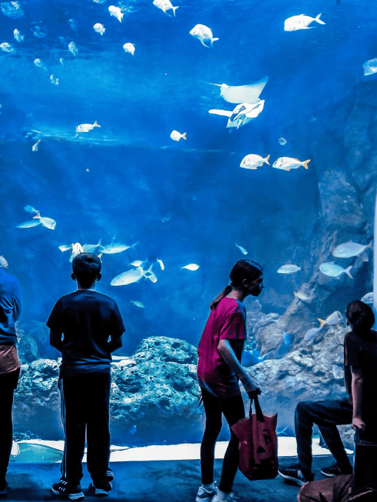 Underwater aquarium with visitors observing tropical fish and marine life in a large glass tank.