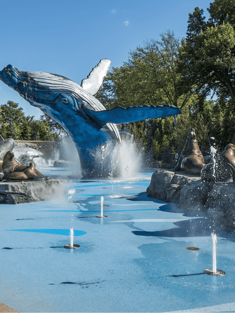 Whale fountain at QuestForDirections park, a popular family-friendly outdoor attraction.