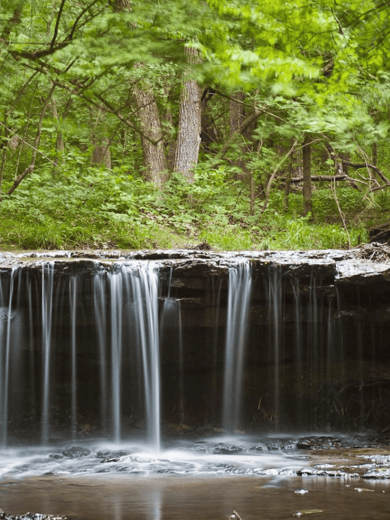 Serene forest waterfall with lush green trees and flowing water, perfect for nature and outdoor adventure seekers.