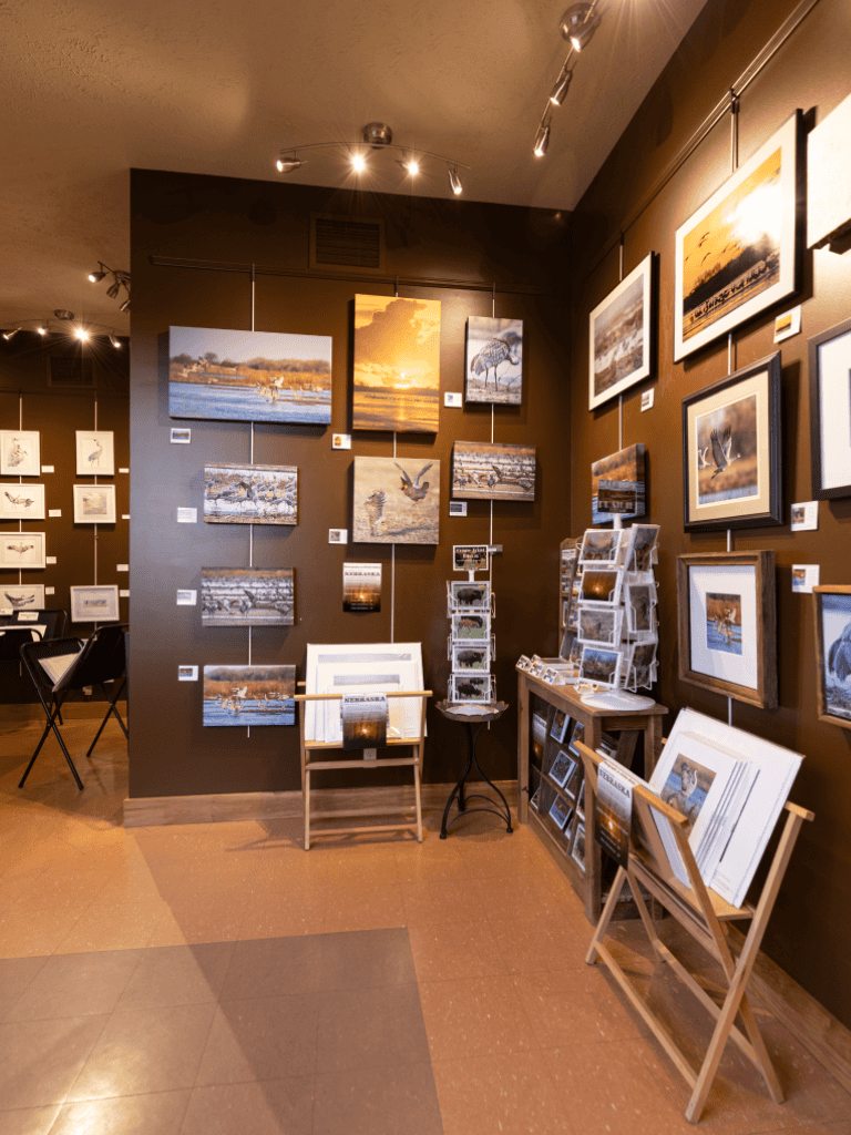 Colorful wildlife art gallery display at QuestForDirections, showcasing nature and bird photography.