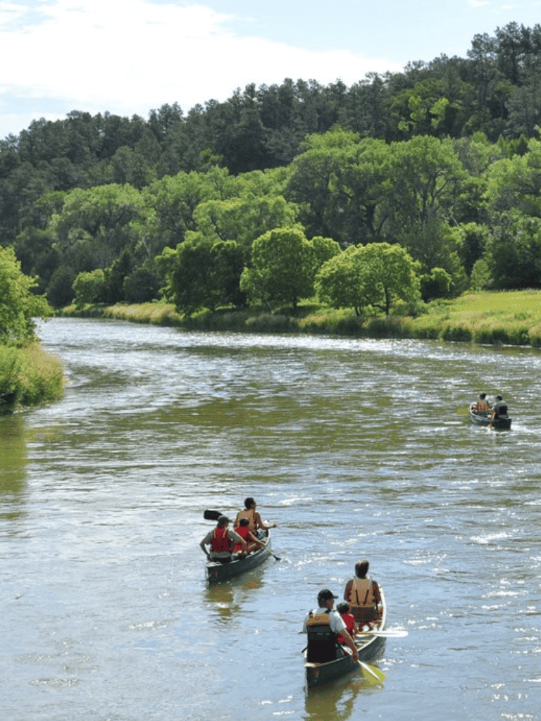 Floating kayaks on a scenic river surrounded by lush green trees and forest.