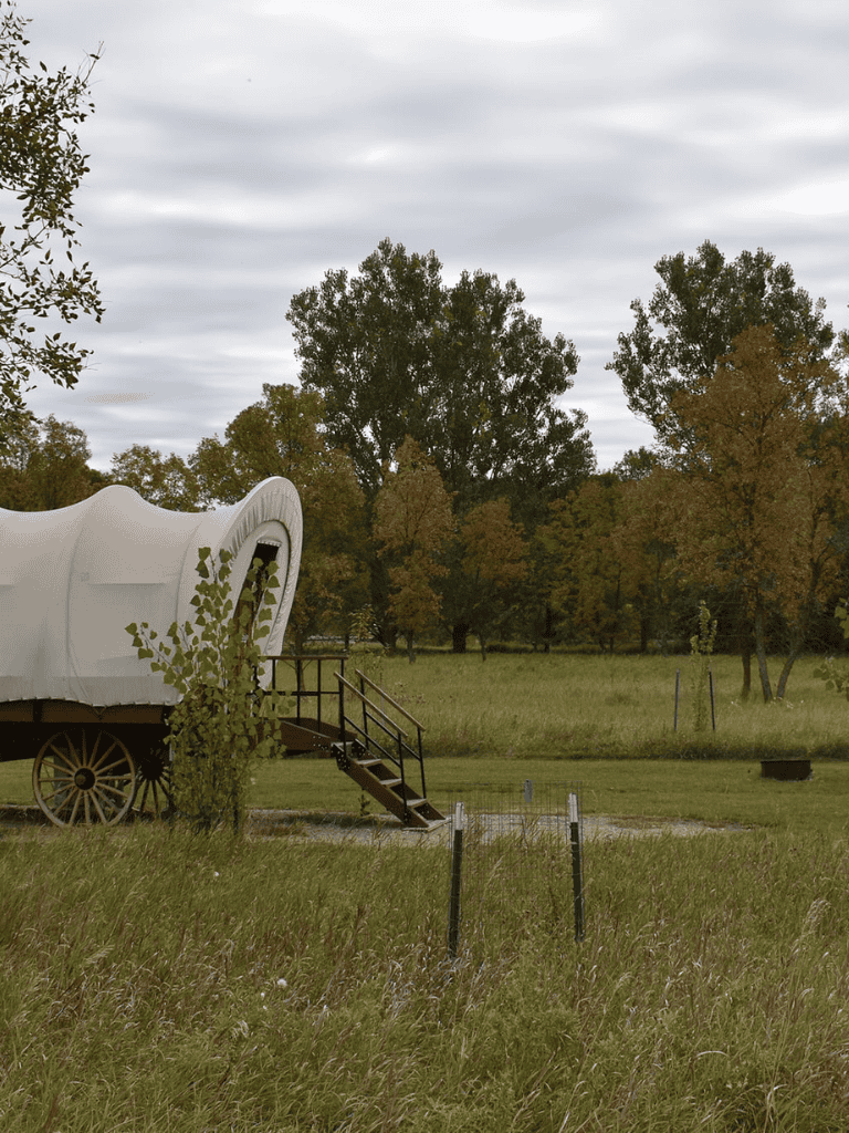 Vintage wagon with white canopy in rural field during fall, scenic outdoor landscape, nature, trees, and overcast sky.