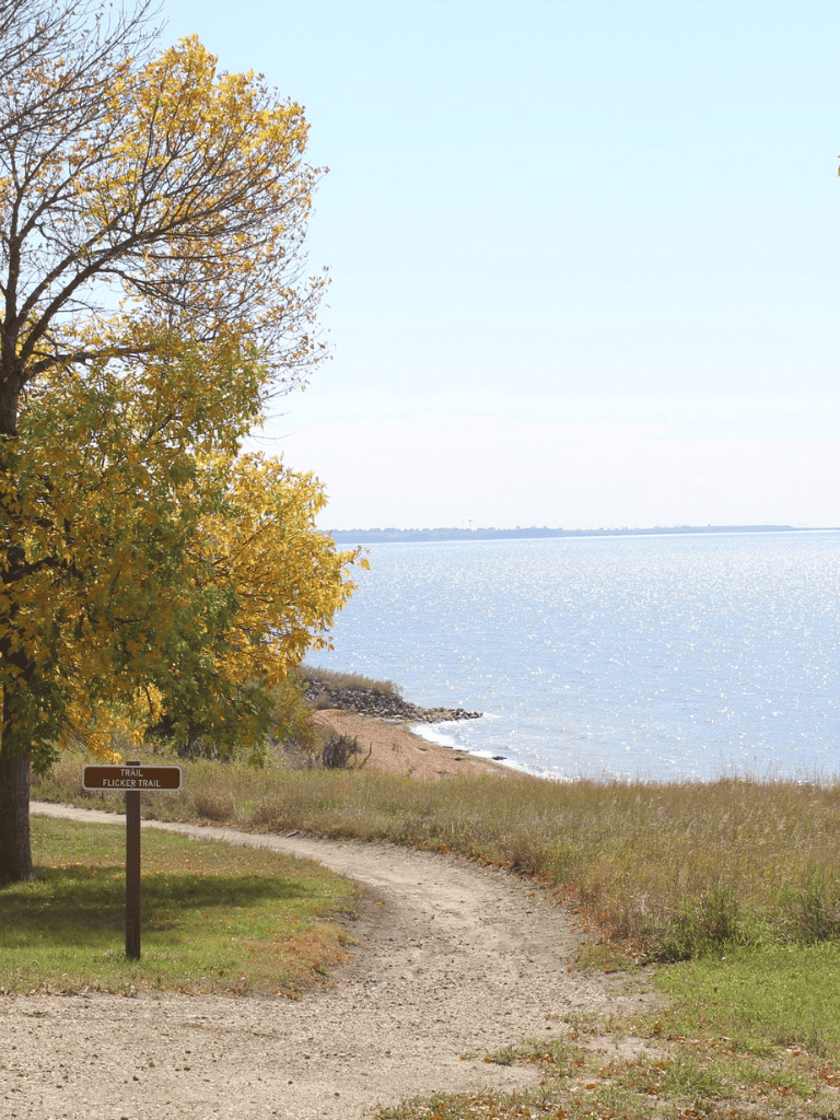 Seaside trail with fall foliage overlooking water, scenic outdoor hiking path for nature walks.