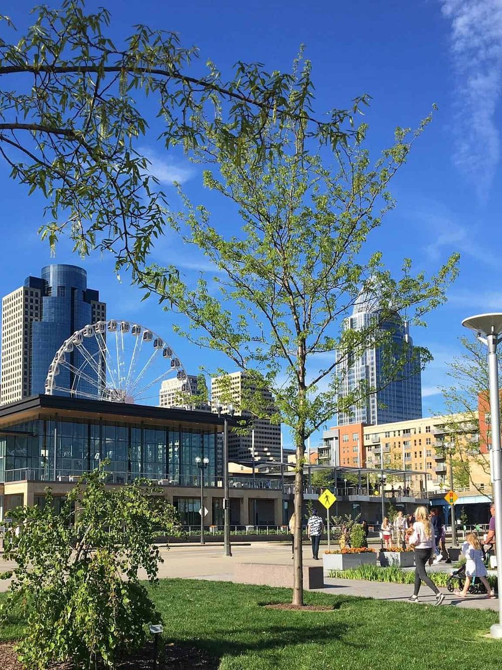 Vibrant city park with modern buildings, Ferris wheel, greenery, and pedestrians enjoying sunny day in downtown.