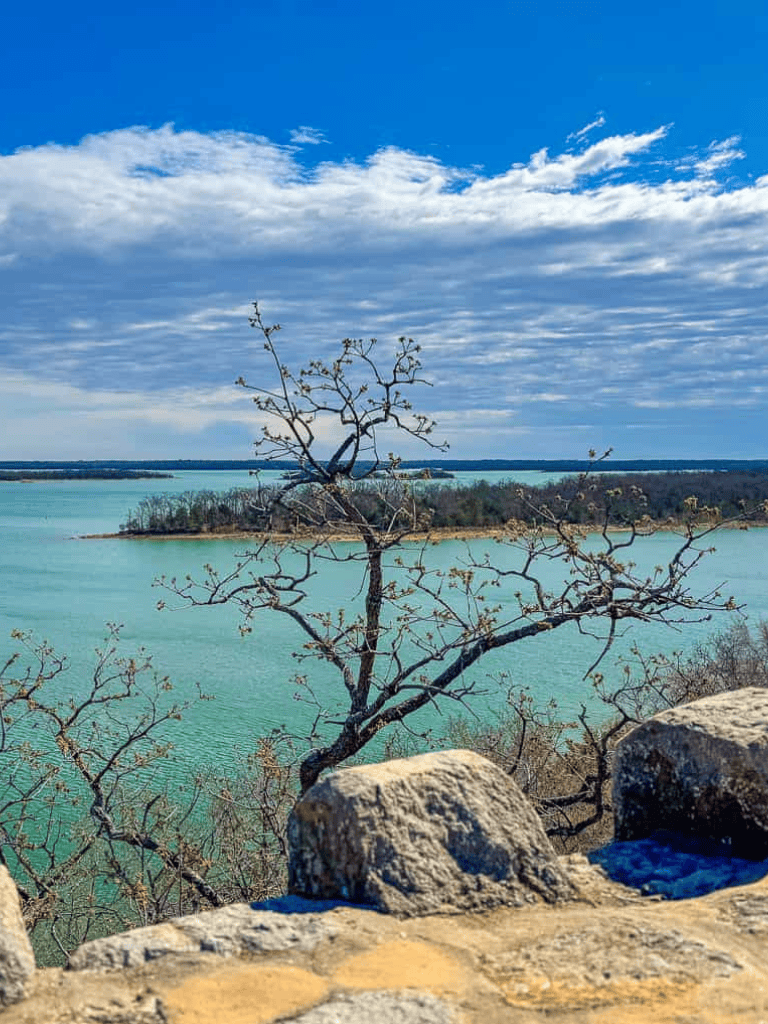 Vibrant lake landscape with a leafless tree, blue sky, and scenic horizon for travel inspiration.