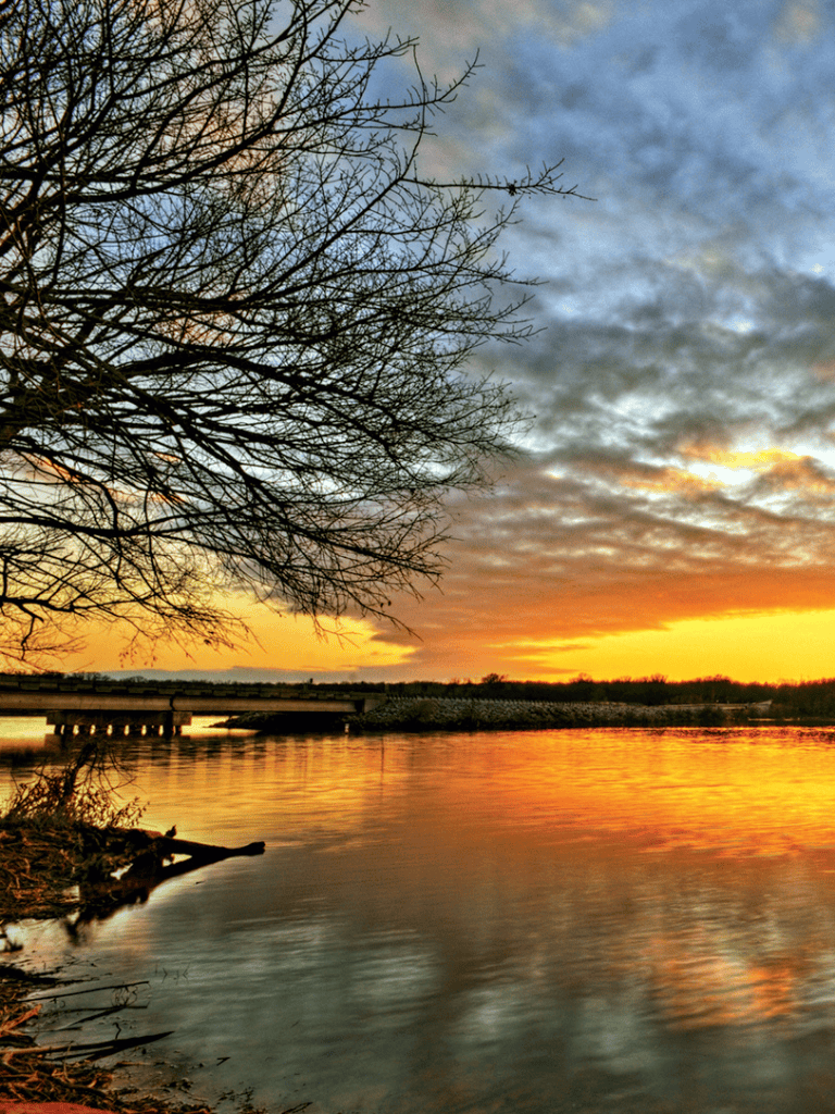 Tranquil sunset over river with leafless tree, showcasing scenic outdoor natural landscape photography.