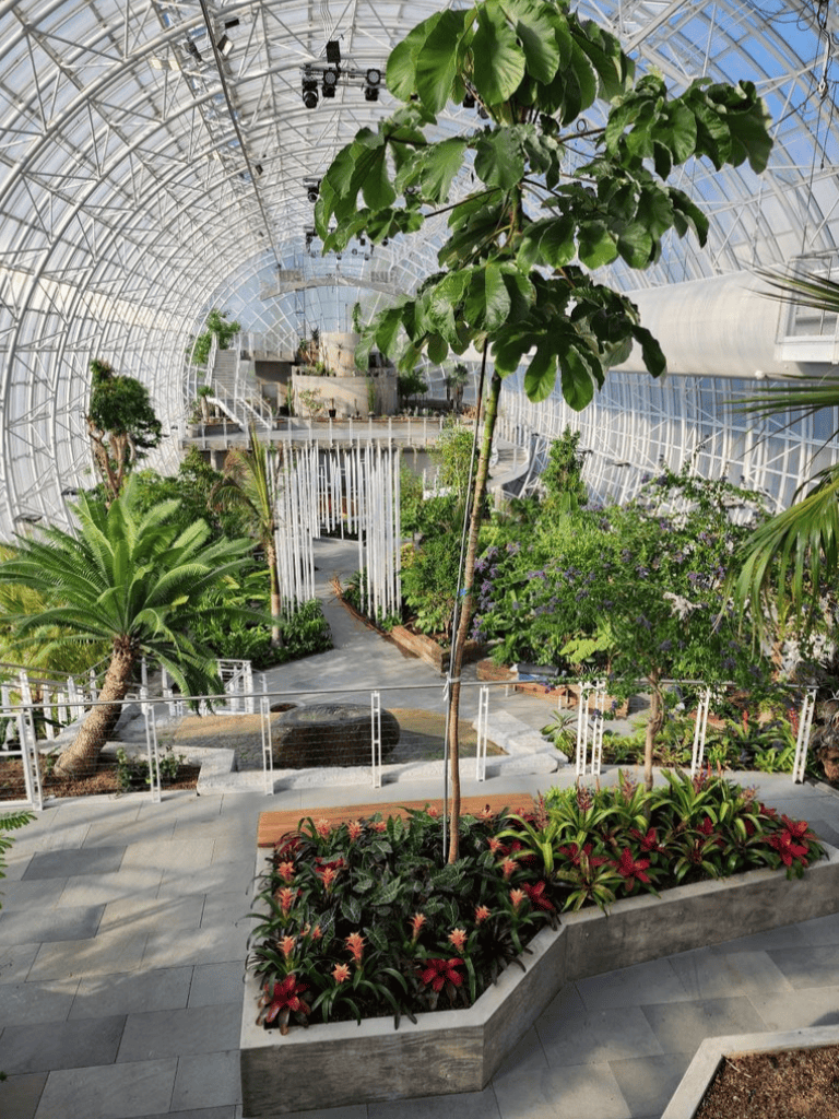 Lush indoor botanical garden with diverse tropical plants in a glass greenhouse.