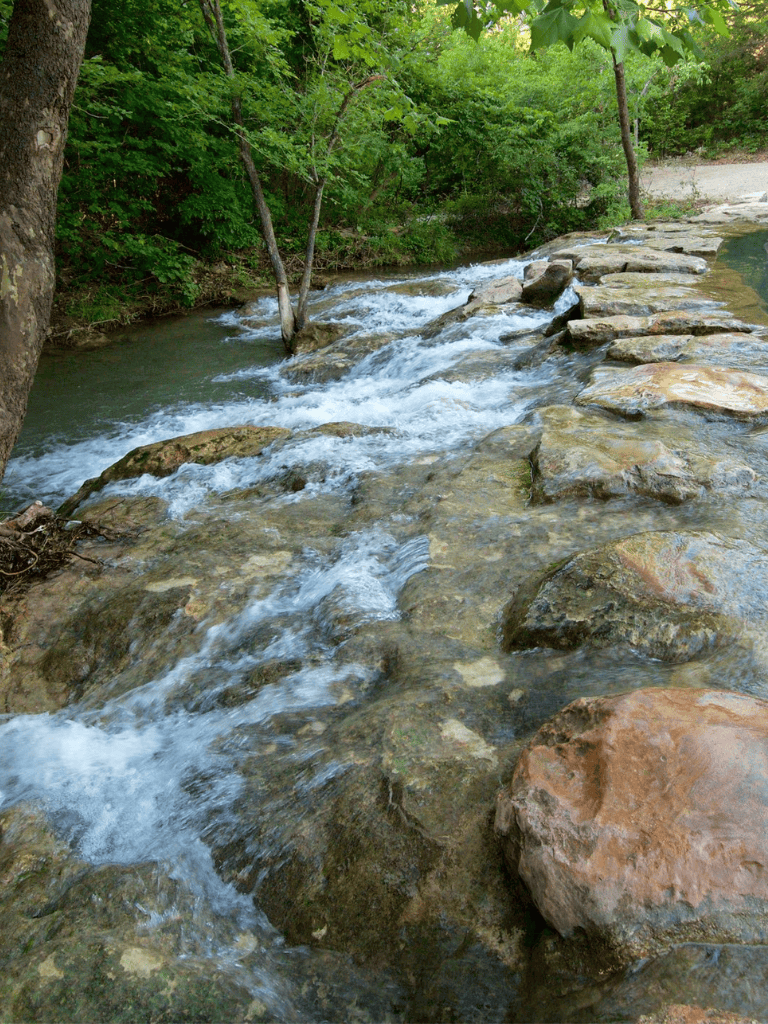 Flowing creek with rocks and lush green trees in a forest setting.