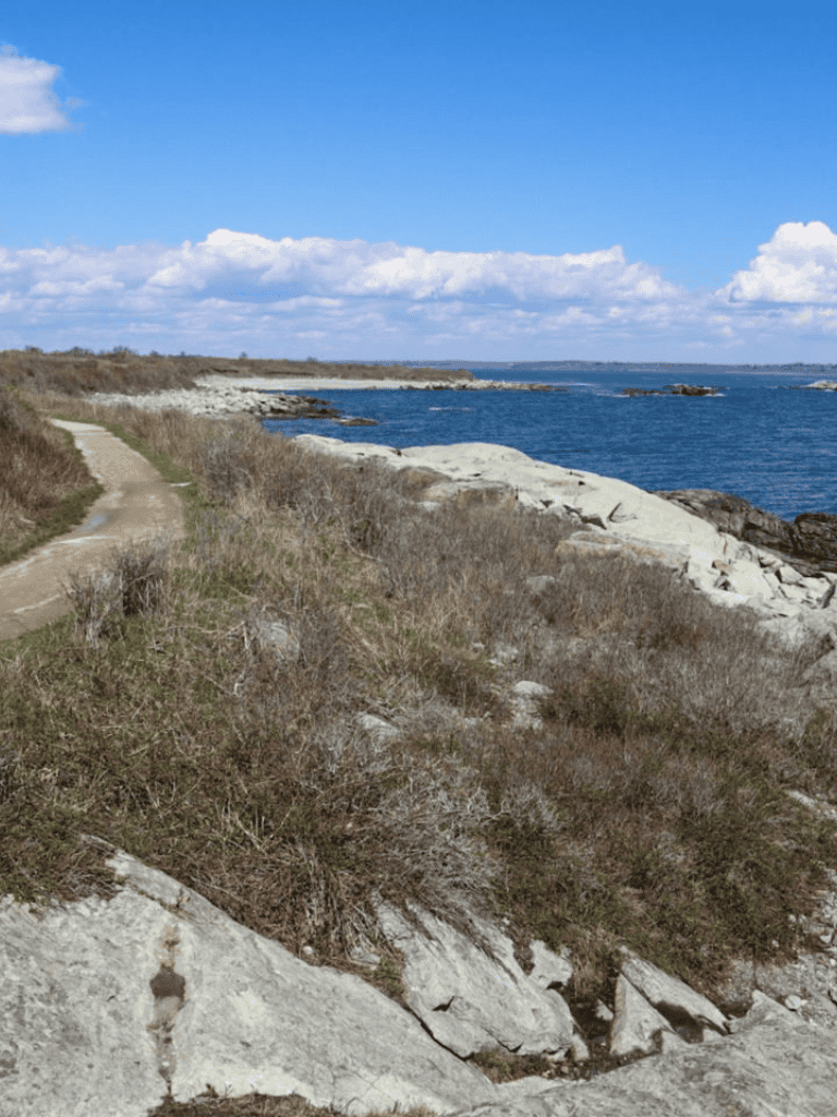 Scenic coastal trail with ocean views, rocky shoreline, and blue sky at a nature reserve.