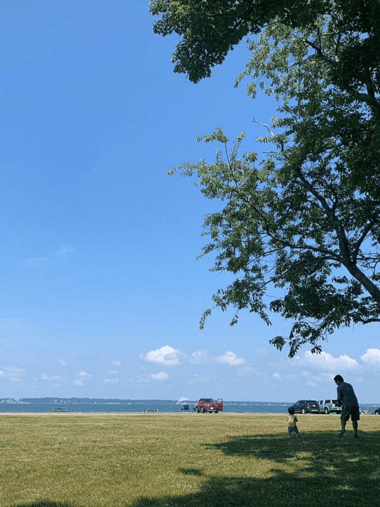 Relaxing outdoor park by the water with families, trees, and clear blue sky, ideal for leisure and outdoor activities.