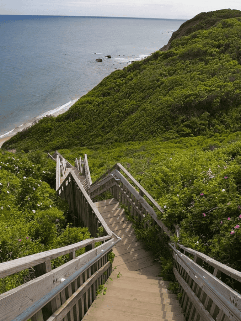Seaside cliff trail with wooden stairs and lush greenery overlooking the ocean.