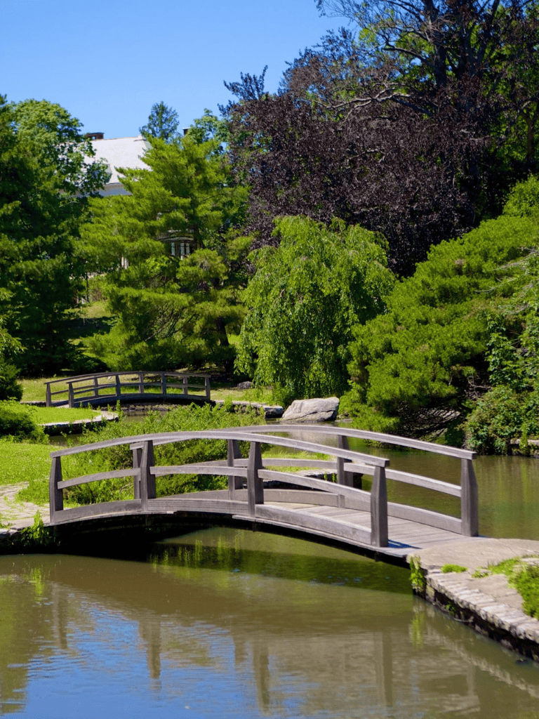 Serene park with wooden bridge, lush greenery, and calm river for peaceful outdoor strolls.