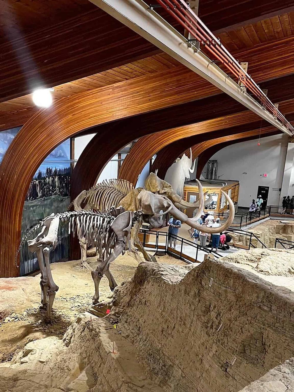 Fossil exhibit with dinosaur skeletons at Quest for Directions museum, showcasing natural history and educational displays.