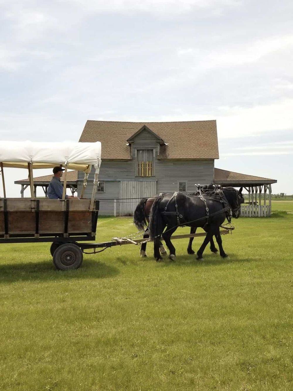 Horse-drawn wagon sightseeing tour at a rustic farm or historical site, scenic countryside with old barn.