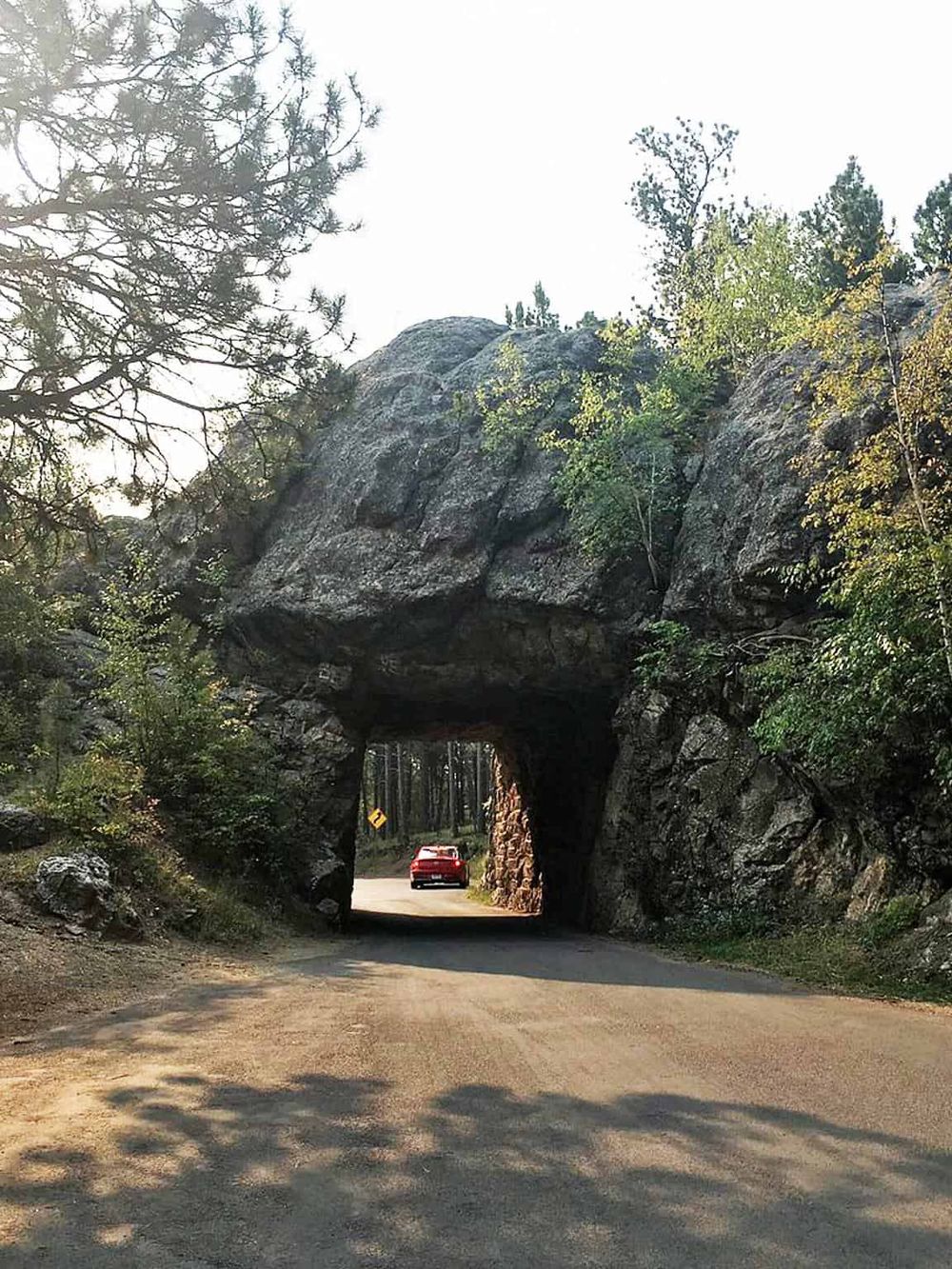 Natural rock formation tunnel on forest road, scenic outdoor route.