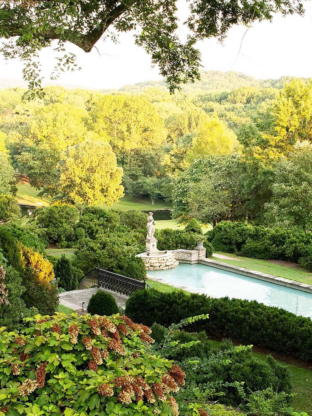 Serene garden with lush greenery, a date-shaped pond, and scenic views, perfect for outdoor exploration and relaxation.