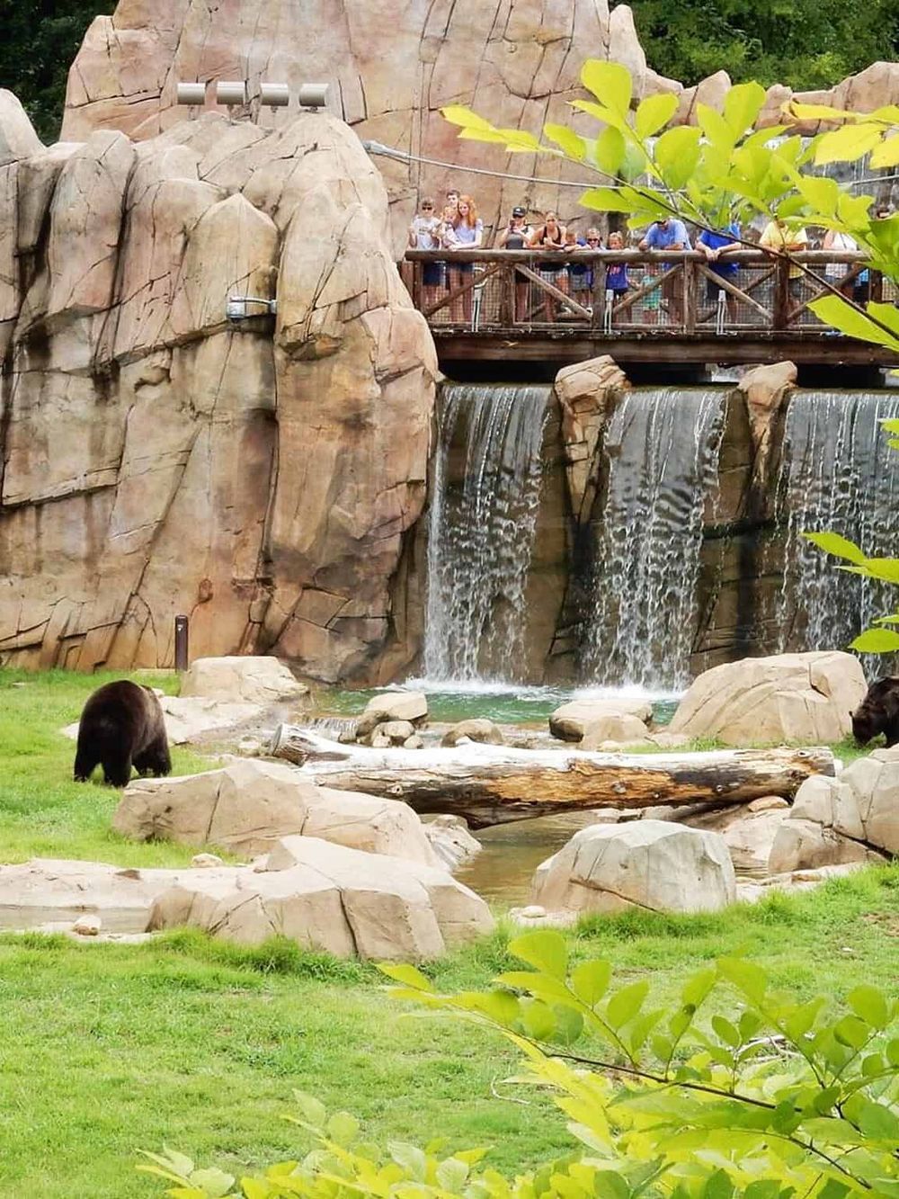 Baldwin Bear Habitat with waterfall and visitors viewing the enclosure at QuestForDirections.