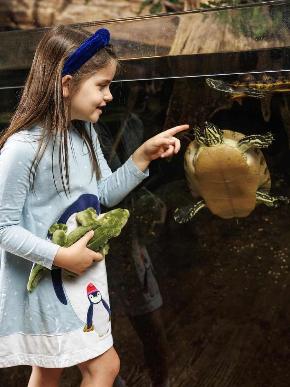 Colorful turtle exhibit at zoo with girl interacting and observing aquatic animals.