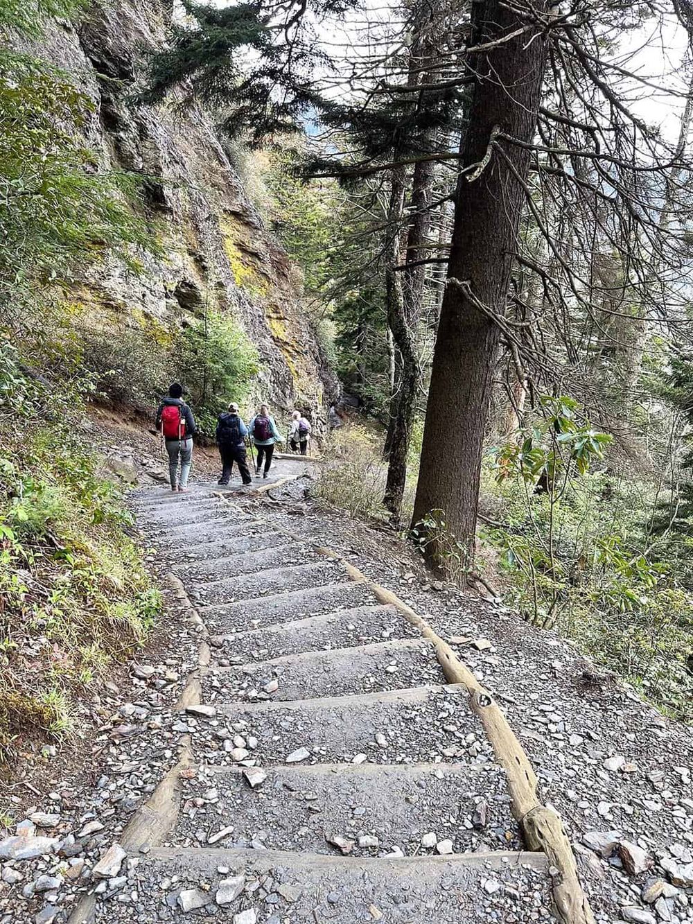 Serene mountain trail with hikers, forest, and rocky path in nature.
