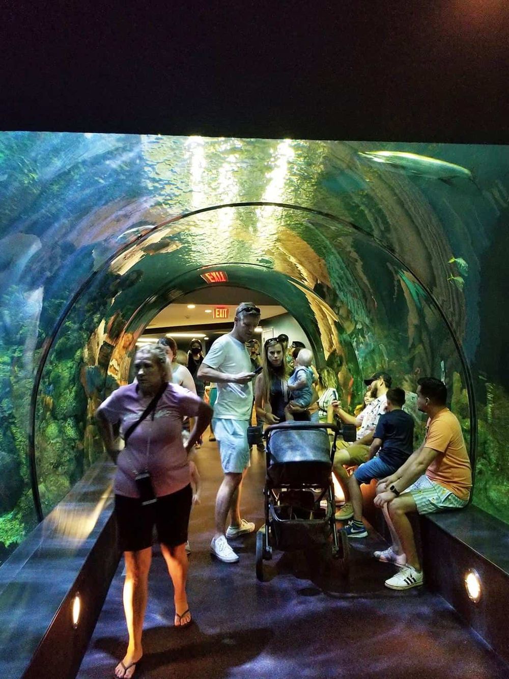 Colorful underwater tunnel at an aquarium filled with visitors exploring marine life exhibits.