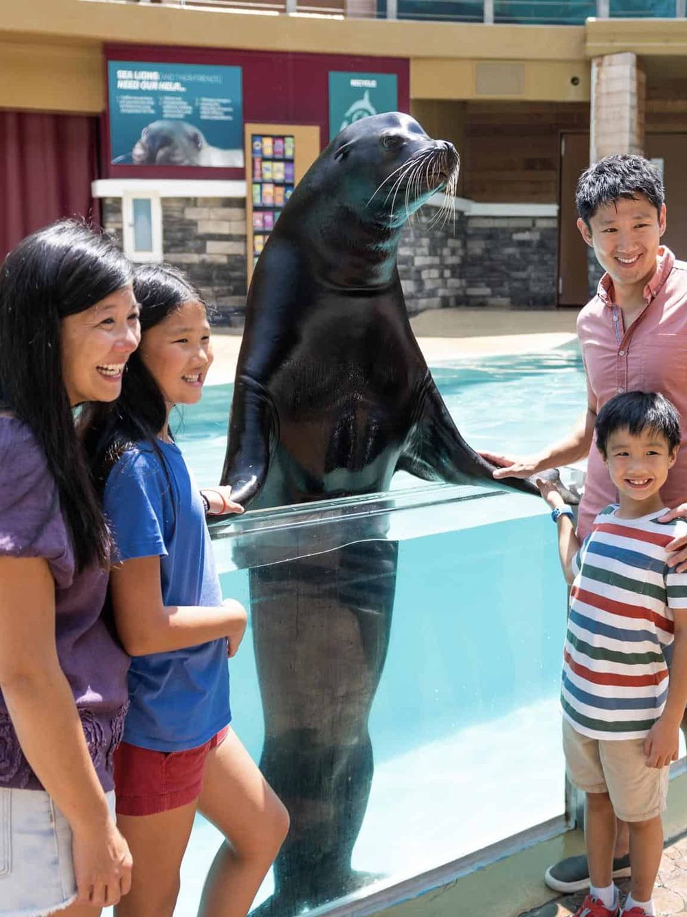 Sea lion fun at Quest for Directions zoo exhibit, family enjoying interaction with marine animals.