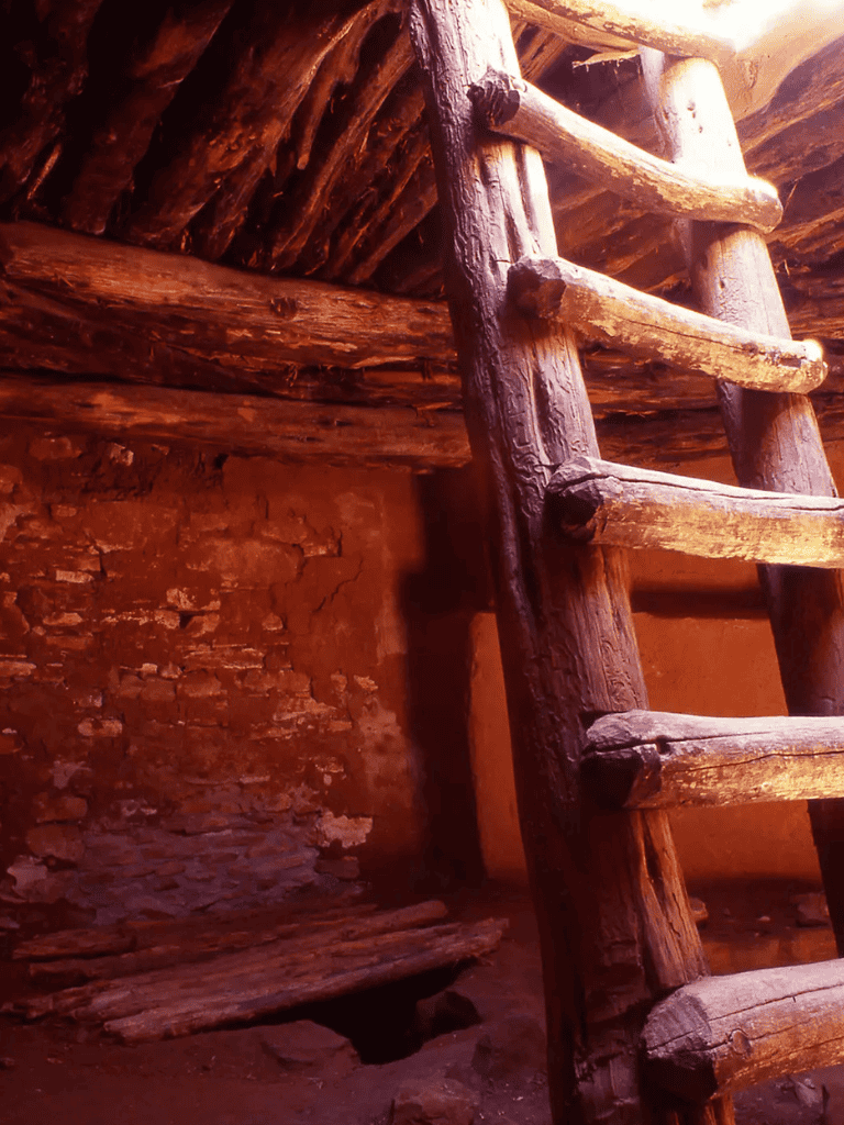 Rustic wooden ladder inside a historic adobe dwelling, highlighting traditional construction techniques.