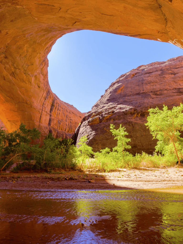 Vast sandstone canyon with lush greenery and flowing water, exploring nature via QuestForDirections.