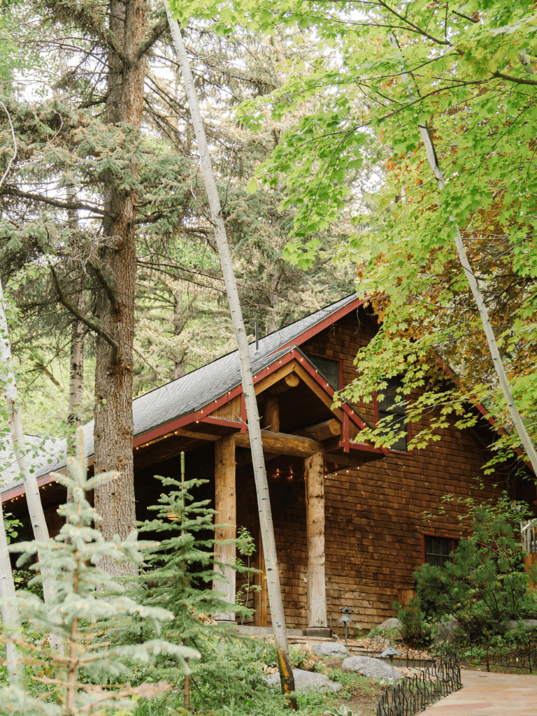 Cozy rustic cabin nestled in lush green forest with pine and maple trees, surrounded by nature.
