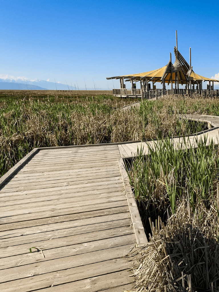 Serene boardwalk leading to a traditional wooden pavilion in a nature reserve, perfect for outdoor exploration and tranquil escapes.