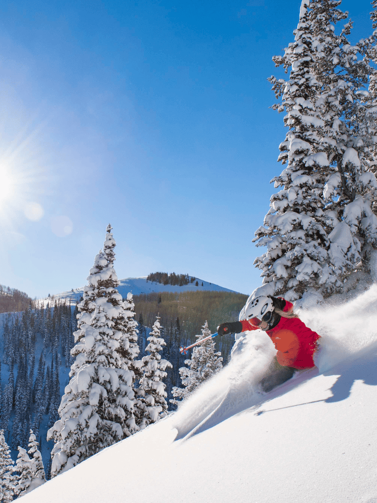 Fresh powder snow skiing in mountain winter landscape with skier in action.