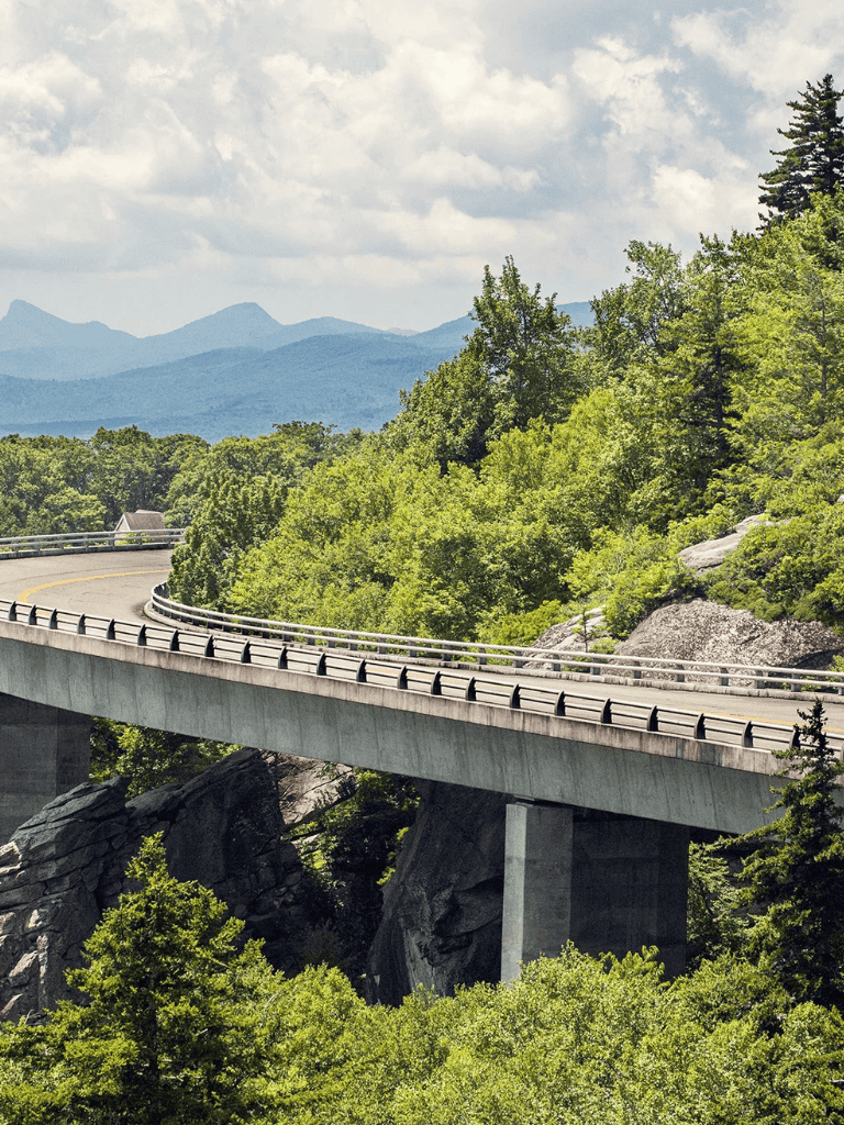 Elevated highway bridge surrounded by lush green trees in a mountainous landscape.