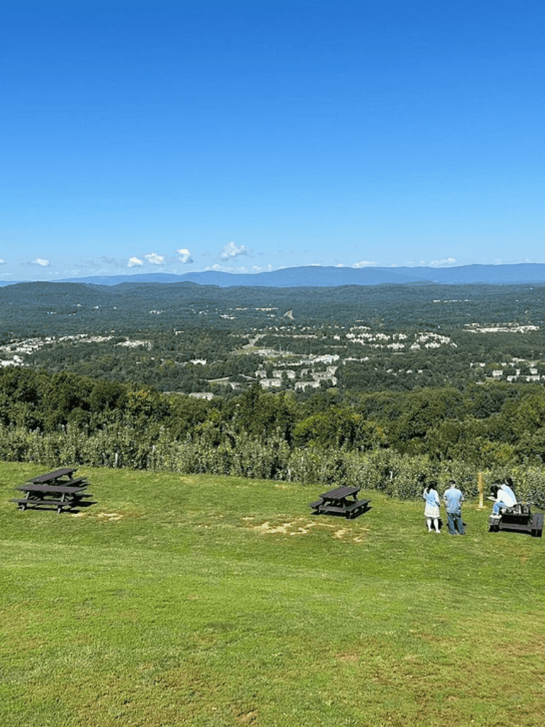 Vast scenic landscape view from QuestForDirections, lush greenery, mountains, and clear blue sky.