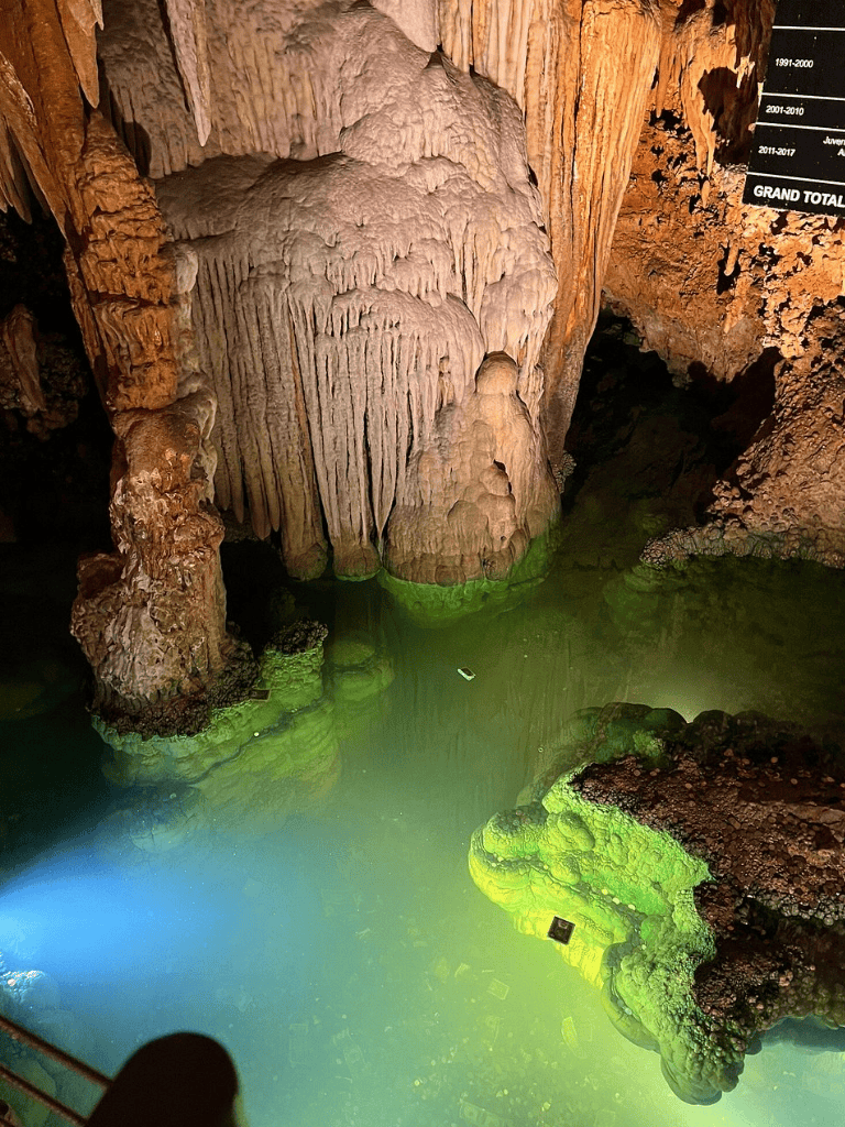 Underground cave with stalactites and stalagmites, illuminated by green lights, showcasing natural cave formations.