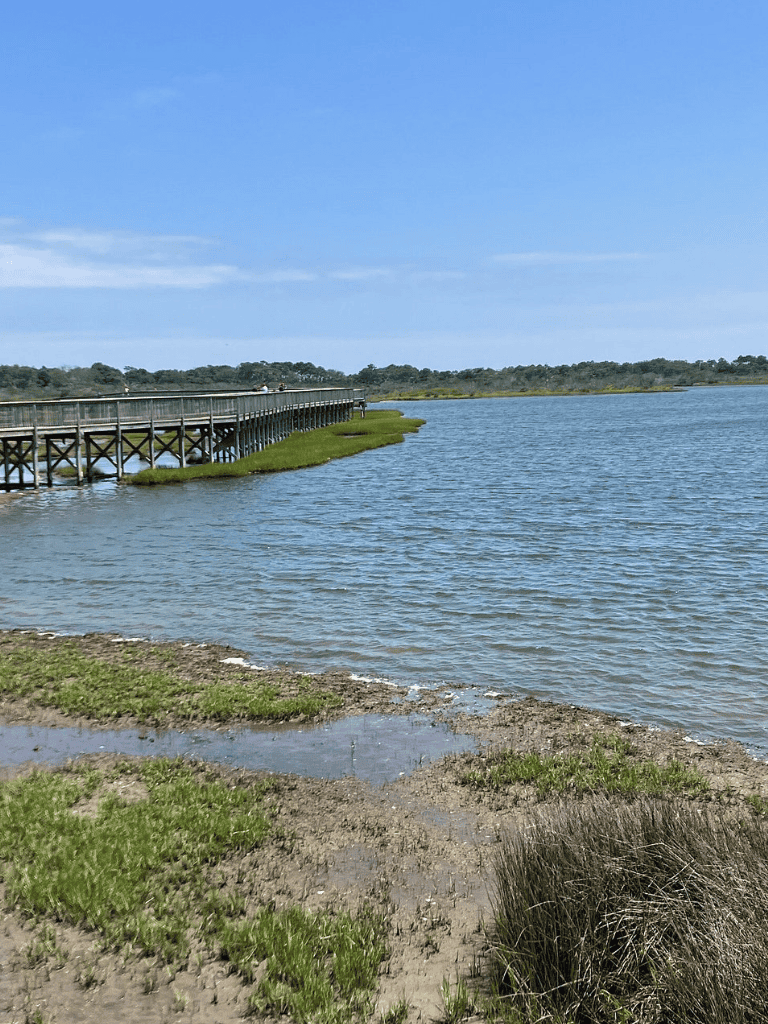 Peaceful lakeside view with a wooden pier extending over the water at QuestForDirections.
