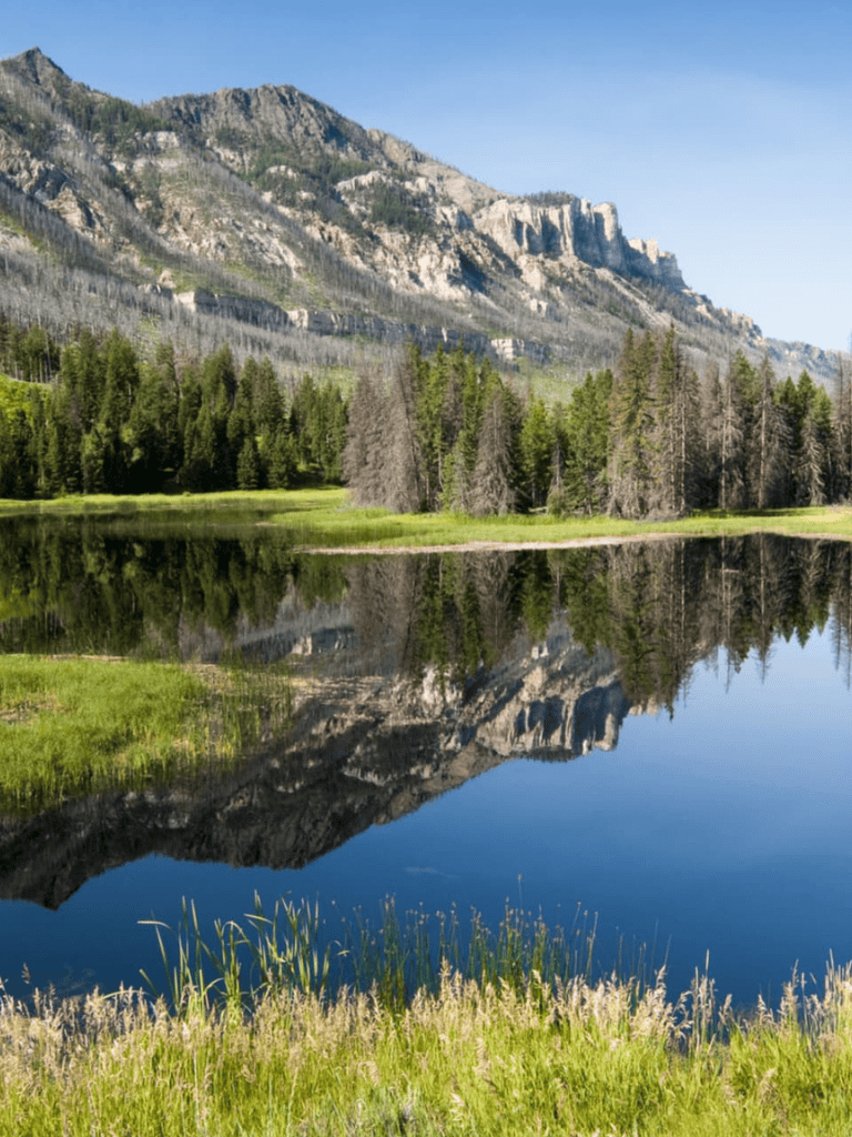 Serene mountain lake surrounded by lush forest and rocky peaks, perfect for outdoor adventures and nature exploration.