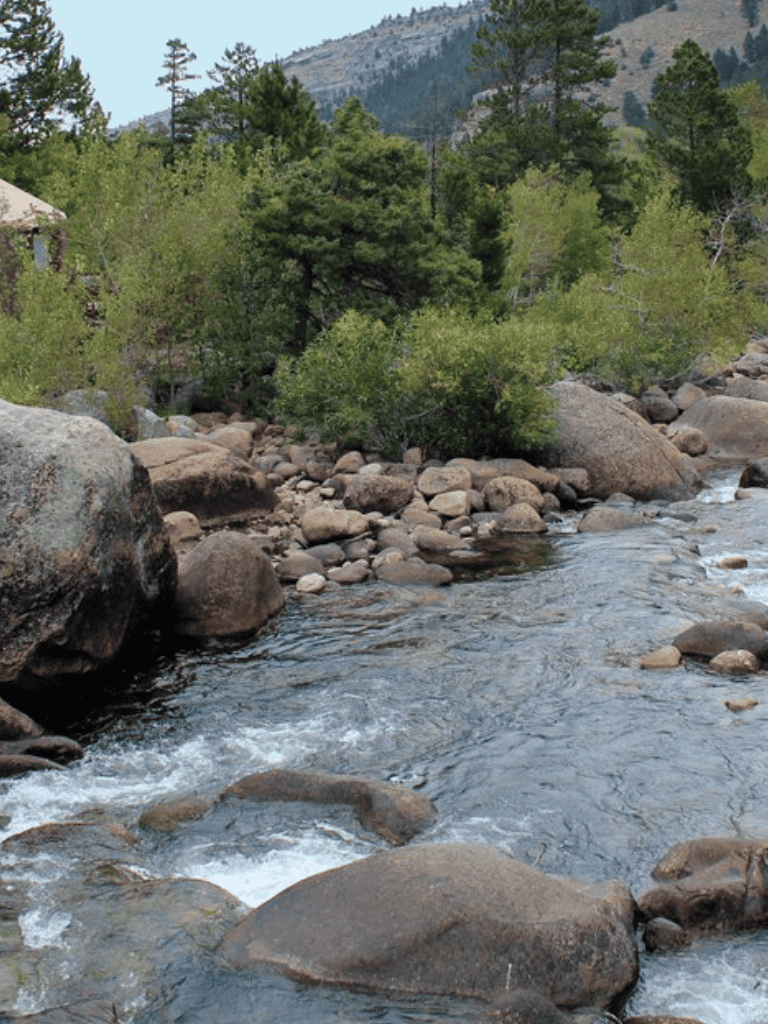 Tranquil mountain stream flowing through rocky terrain with lush green trees and forest backdrop in wilderness.