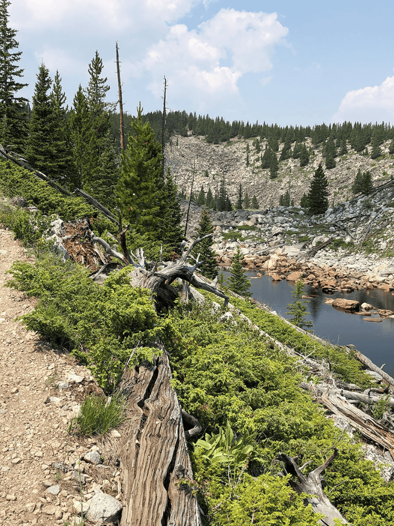 Tranquil mountain trail along river with lush greenery and rocky cliffs in the background.