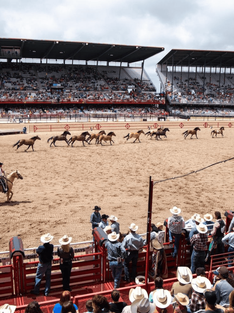 1. Horses running in a rodeo arena under cloudy sky during daytime.