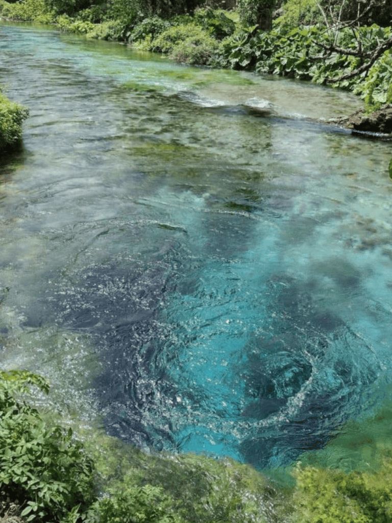 Vortex whirlpool in clear river surrounded by lush greenery, natural water attraction.