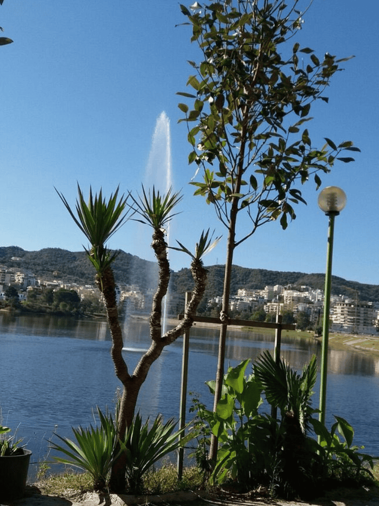 Water fountain by a lake with green plants and city skyline in the background.