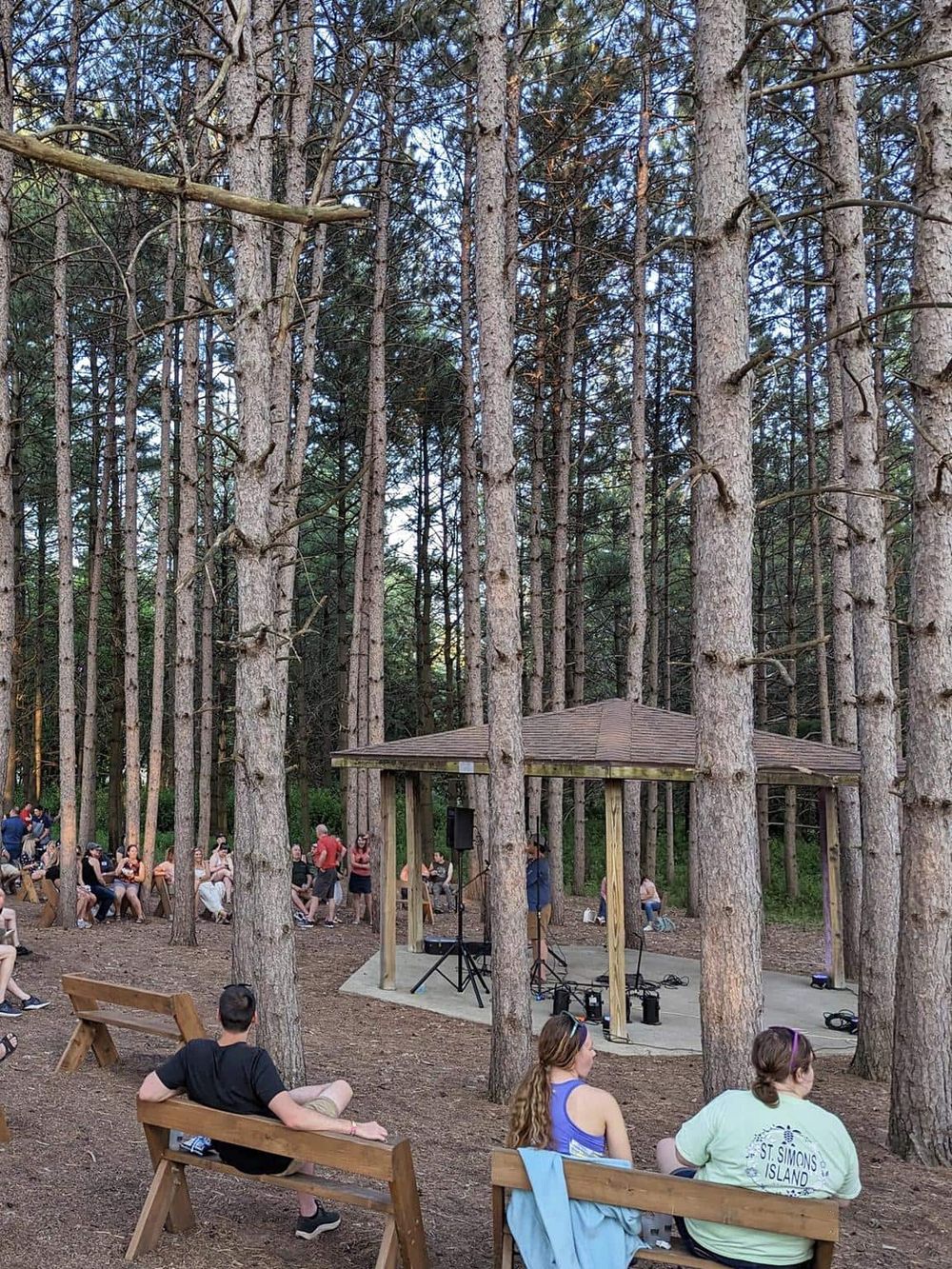 Outdoor forest concert in Tall Pines, community event.